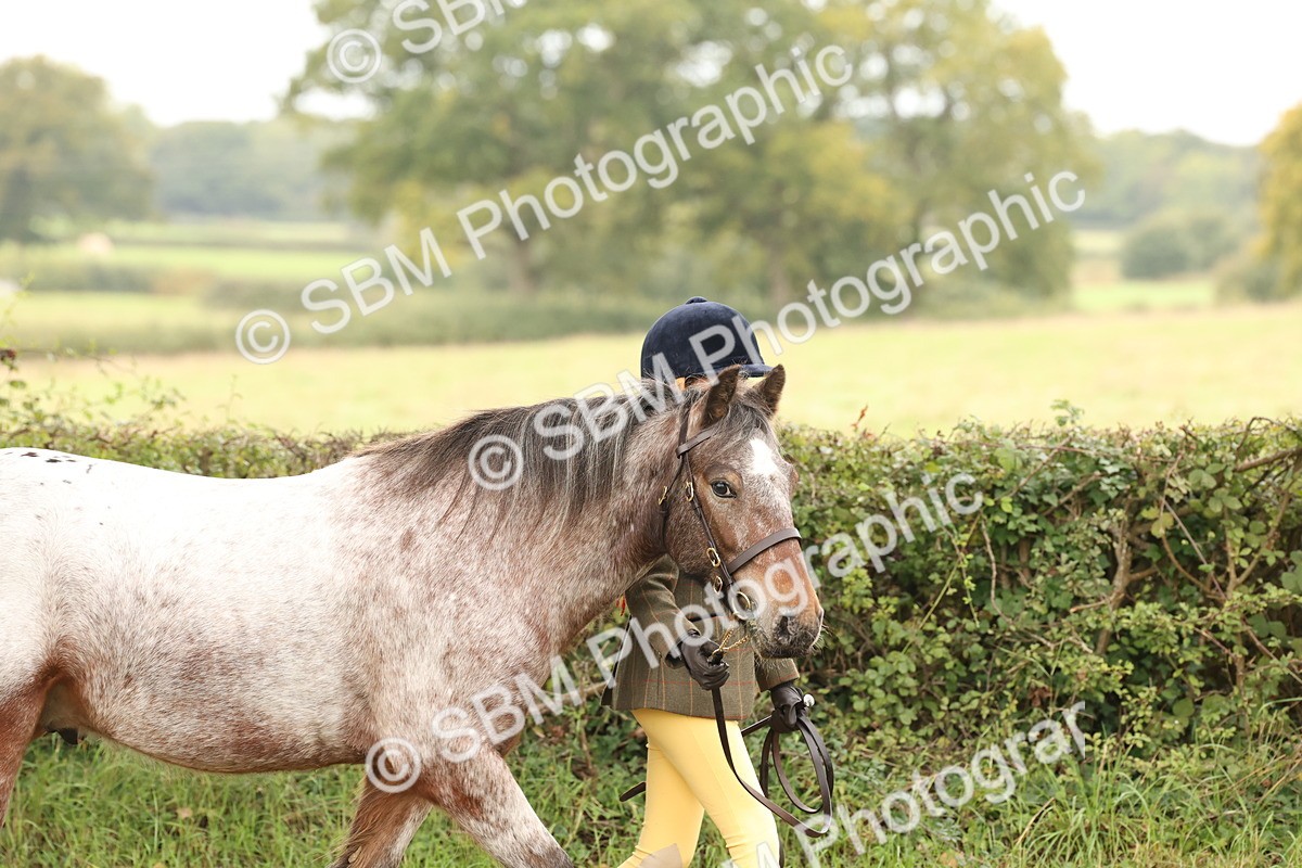 SBM_59227 - S57 - Traditional Cob In Hand