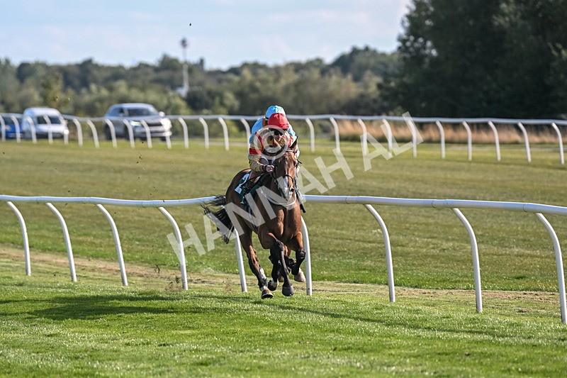 090925-Race 4-U Sure Do-8790 - Race 4