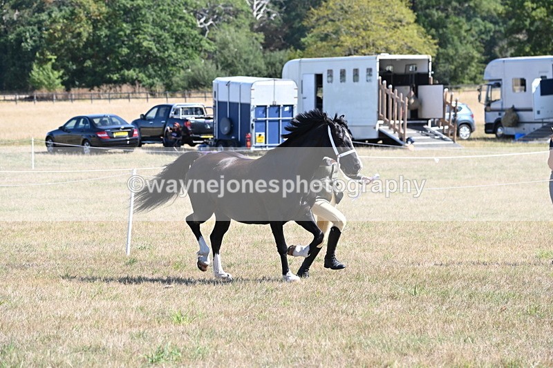 WJ6_4551 - Class 17 Mountain & Moorland