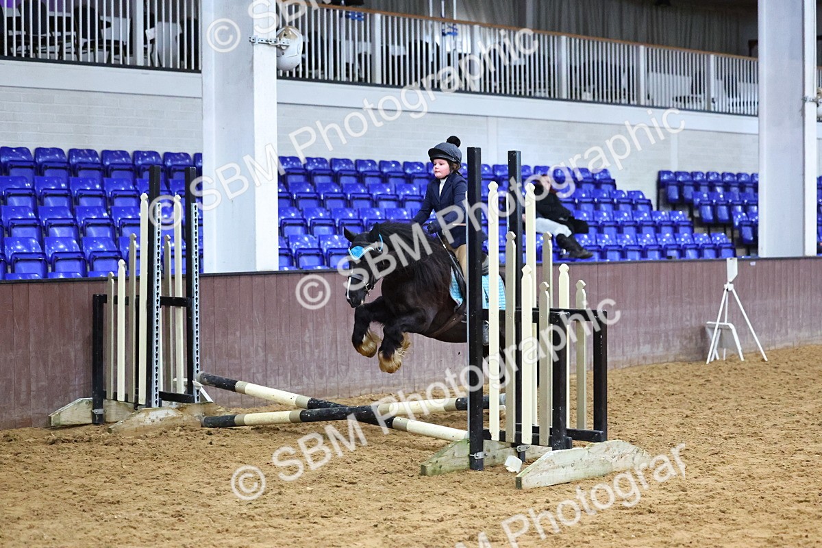 SBM_000387 - Class 2 - 50cm