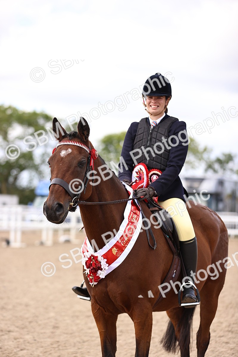 SBM_11677 - Class 408 - Grassroots Ridden - Walk & Trot