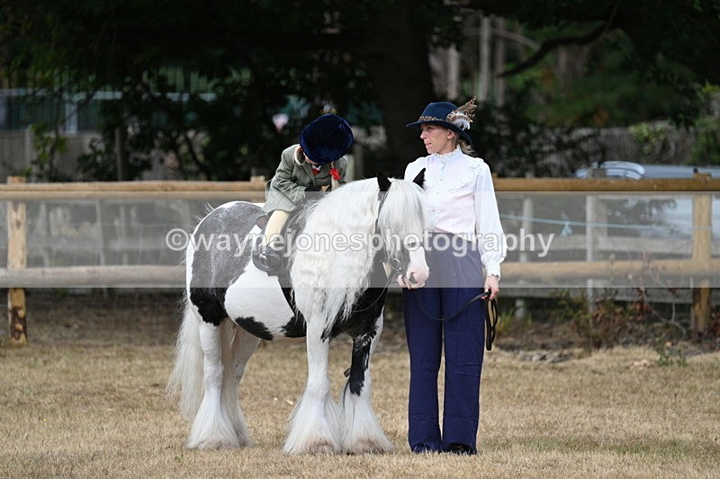 WJ7_6712 - Class 1 Lead Rein Pony