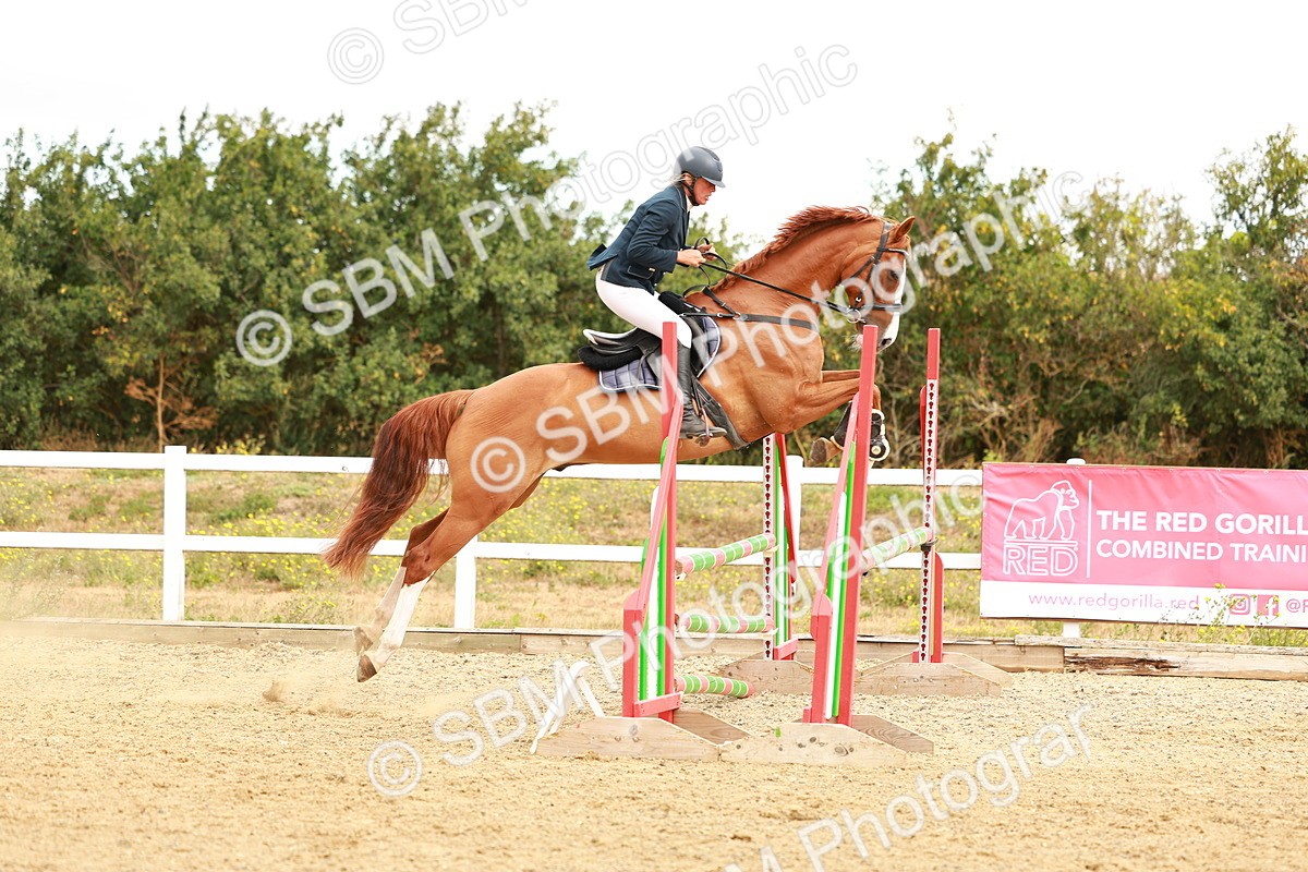 SBM_005217 - Class 2 - Senior British Novice - 90cm