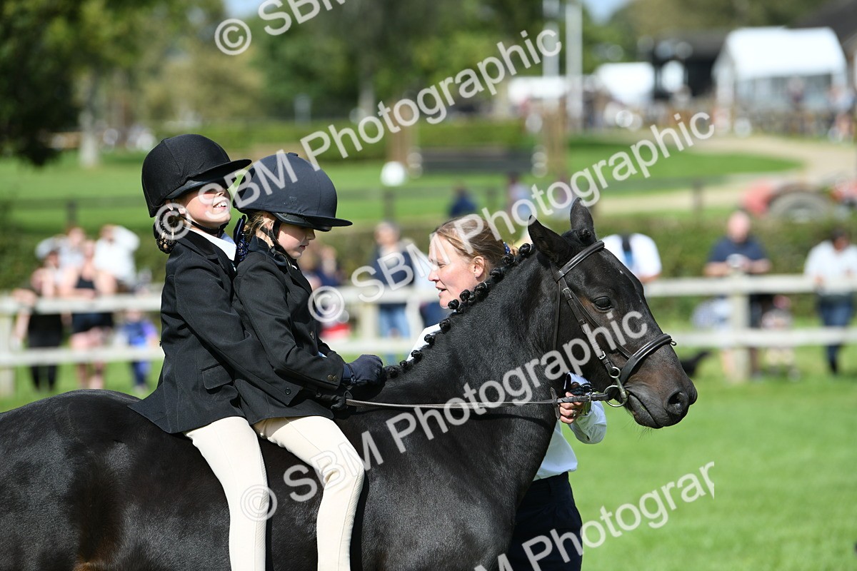 SBM_46979 - S12 - Family Horse & Pony