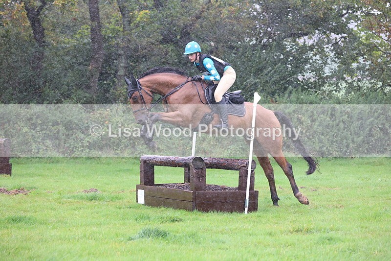 JPP_5423 - Class 4: 80cm: Crossed Logs