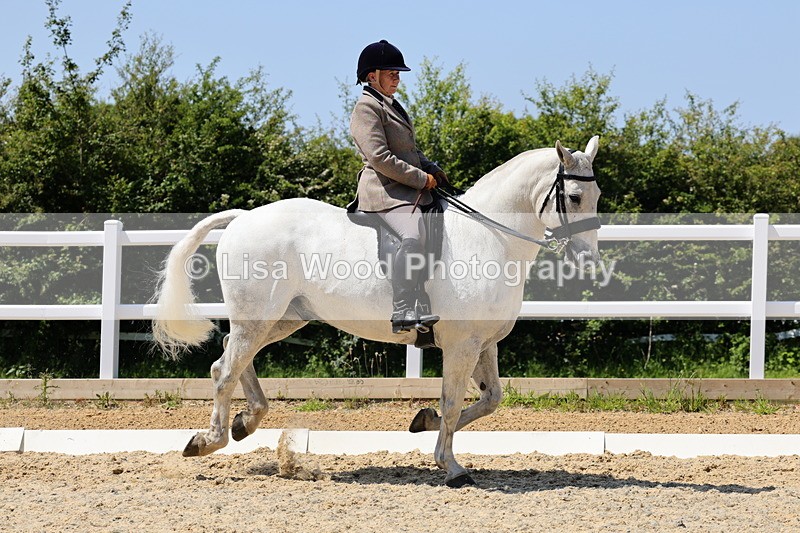 1X9A1782 - Class 11: Ridden Cob