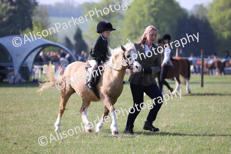 20250427-0155 - Class 30 - Tiny Tots Lead Rein