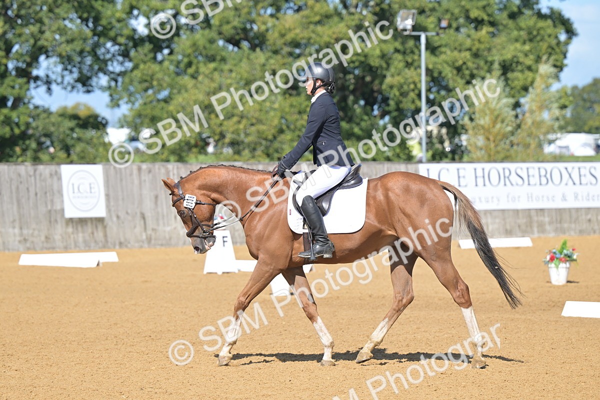 SBM_04012 - D2 - Small Tour Championship Intro 2