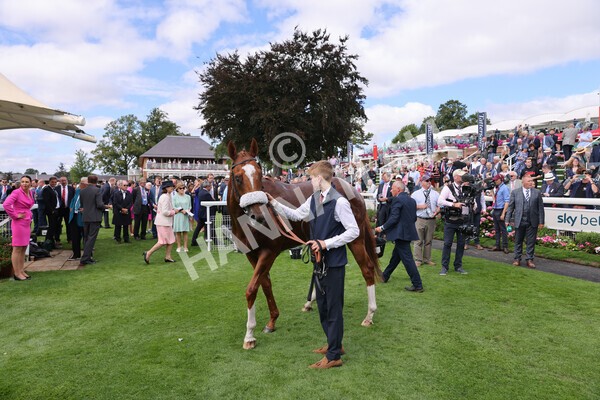 yr17082022r2-60 - Race 2 2.25pm Tattersalls Acomb Stakes