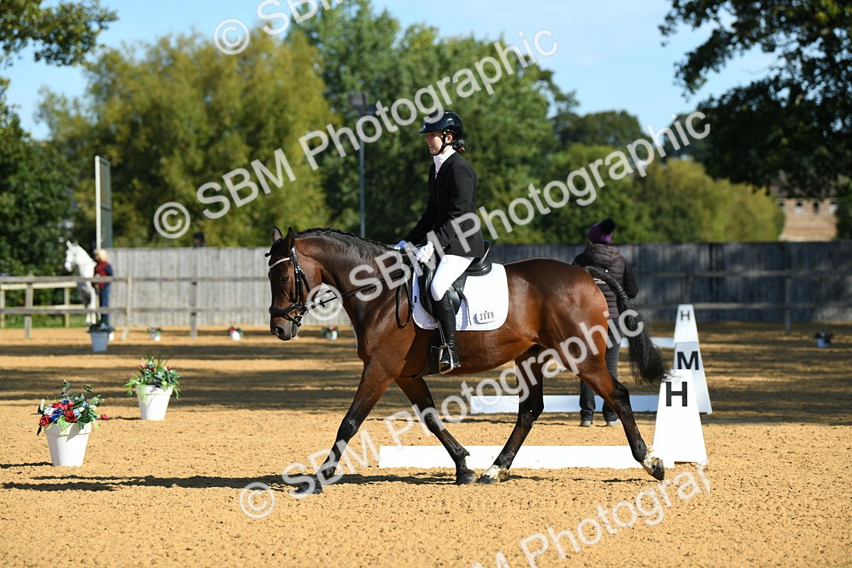 SBM_17991 - D4 - Small Tour Championship - Intro B