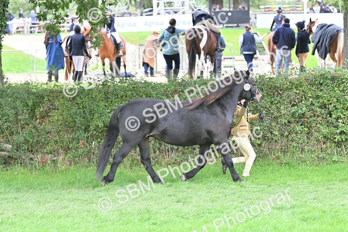 SBM_66795 - S41 - Junior Handler 8 Years & Under