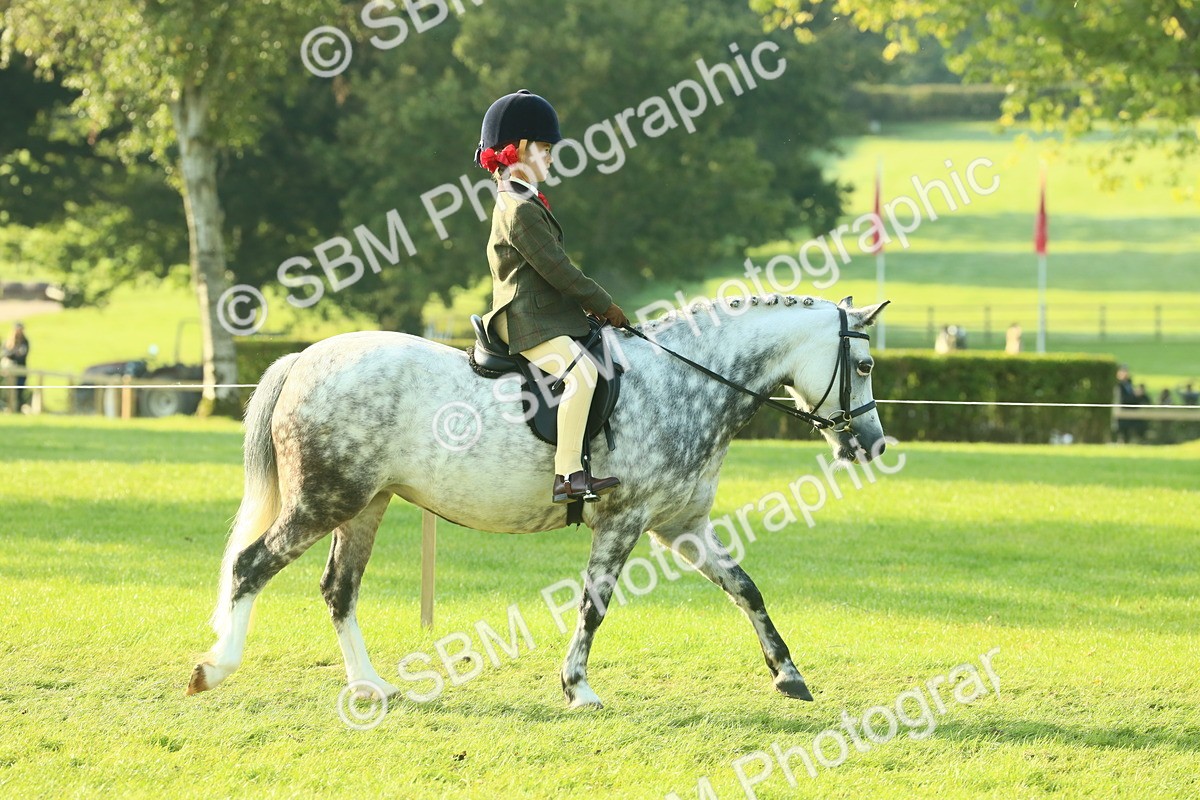 SBM_59115 - S38 - Starters Ridden Showing