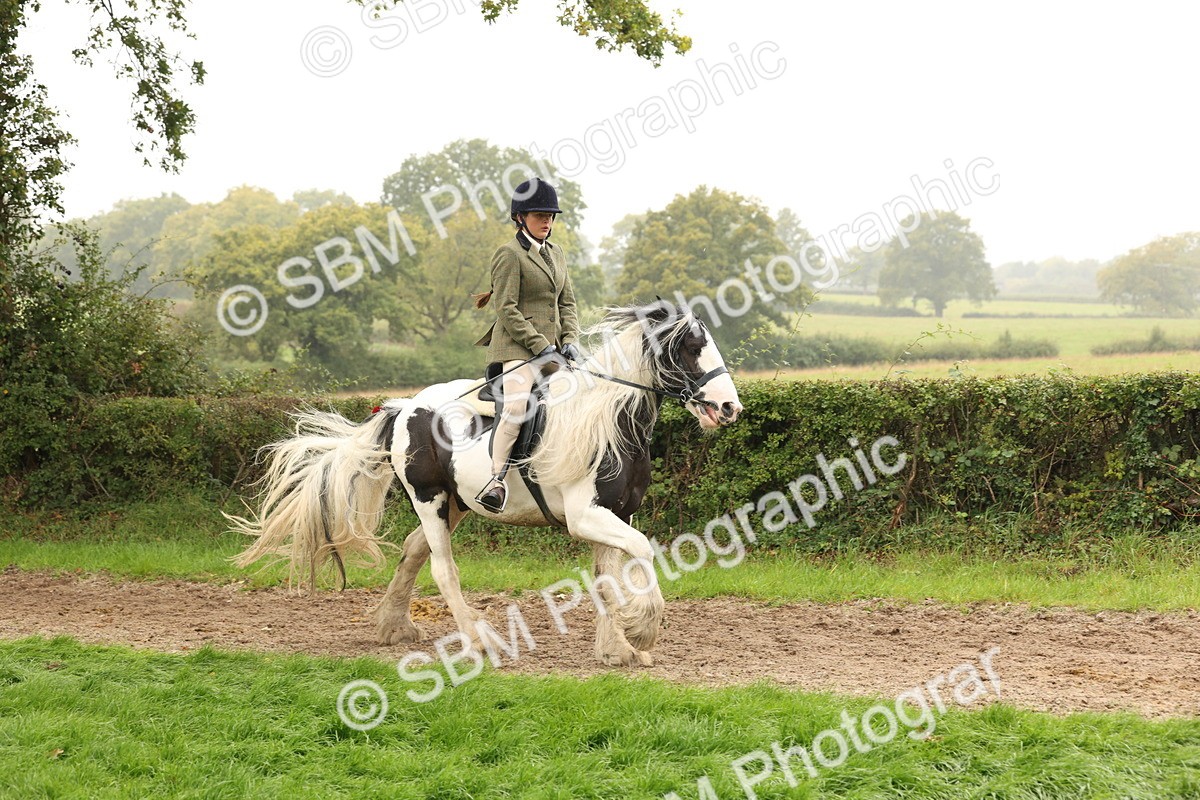 SBM_72705 - S70 - Traditional Cob Ridden