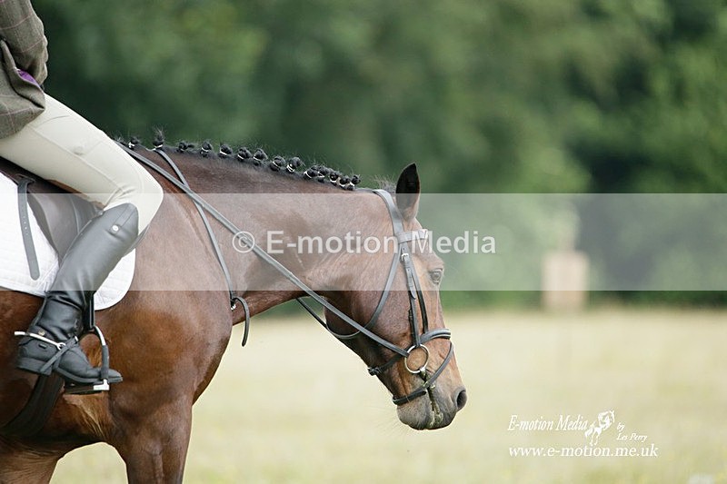 BVRC 030721 158 - Bourne Valley Riding Club Dressage 03/07/21