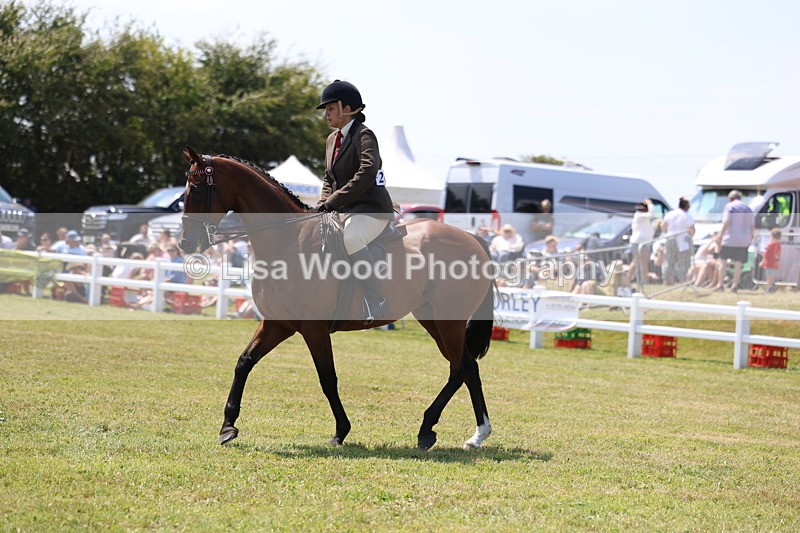 3E7A9407 - Class 12: Open Racehorse to Show Horse