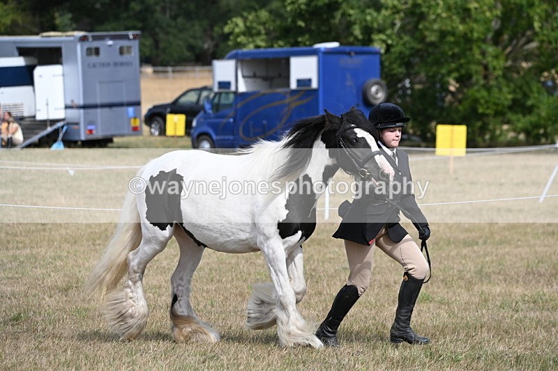 WJ6_6458 - Class 20 In-hand Cob