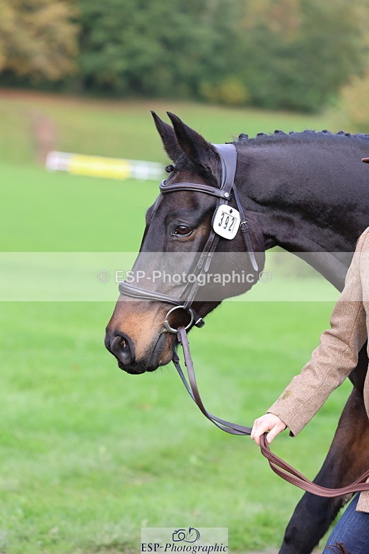 251026A-102429-22961 - E-392-Mary.Lowe