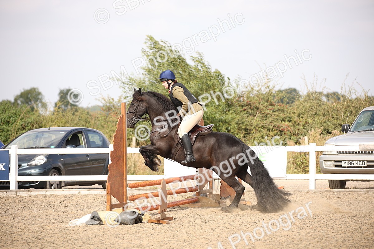 SBM_14990 - Class 408a - Working Veteran 70cm (15-19