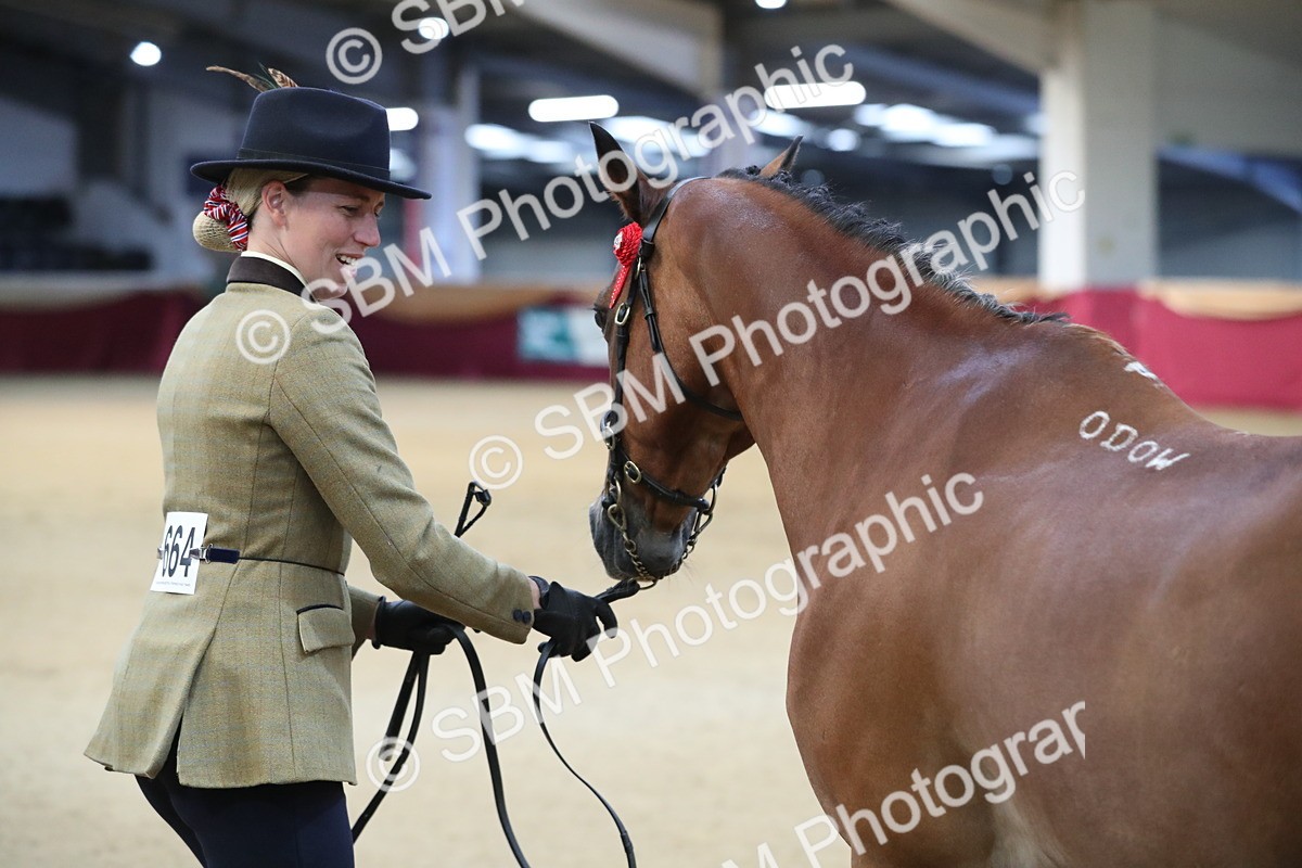 SBM_00273 - Class 1a - Area IH Diamond