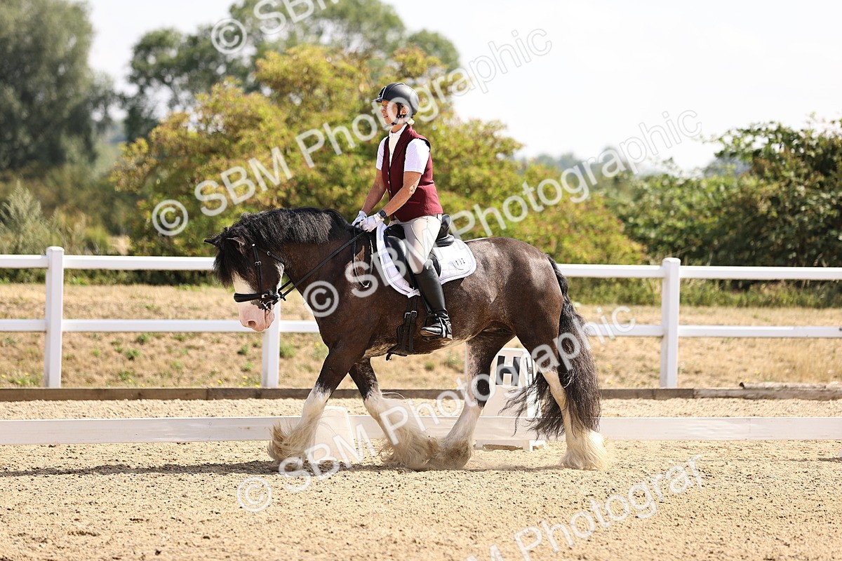 SBM_006486 - Intro 3 - 9.46-10.46