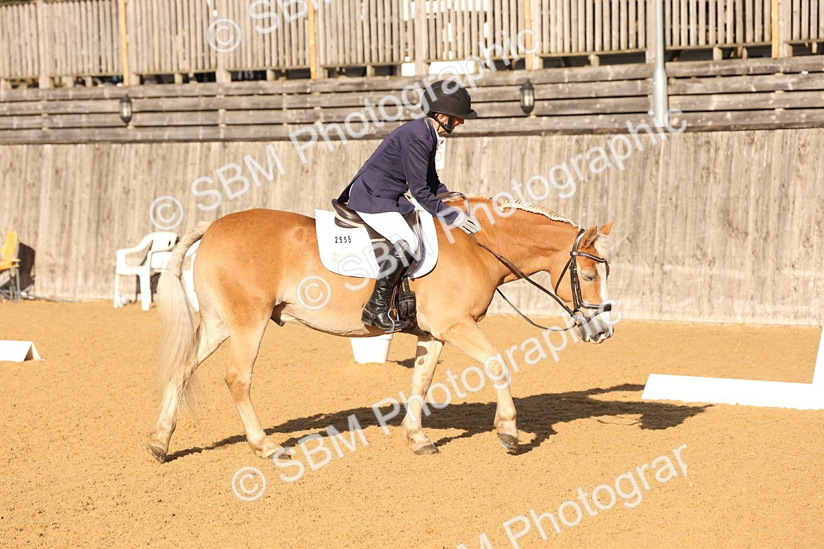 SBM_28220 - D20 - Grand Tour Championship Elementary 3