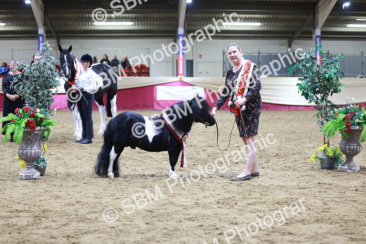 SBM_20869 - Class L - Coloured Champ