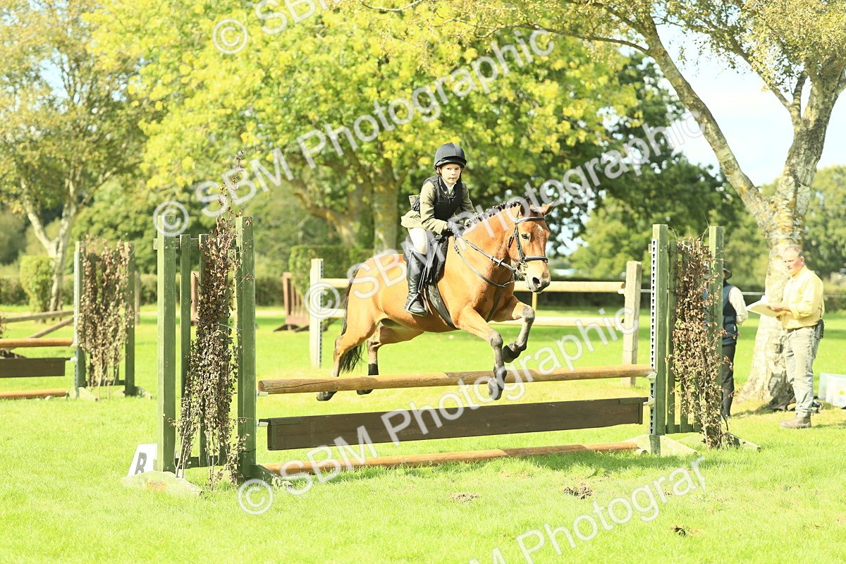 SBM_44619 - S31 - Working Hunter Pony