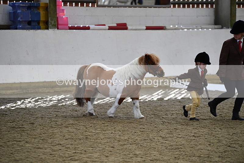 WJ5_4897 - Class 7 In hand coloured / odd coloured