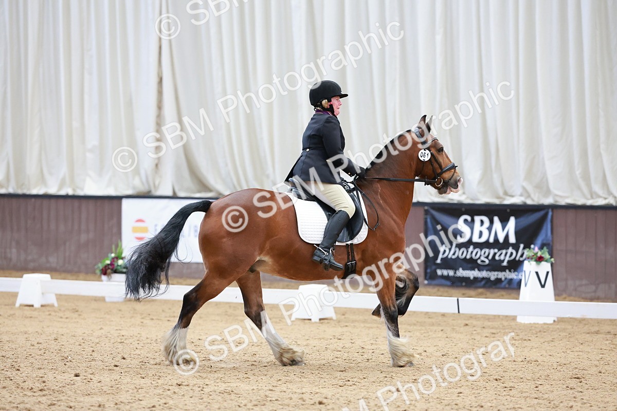 SBM_008112 - Class 6b - Novice 6 - 9.28-10.41