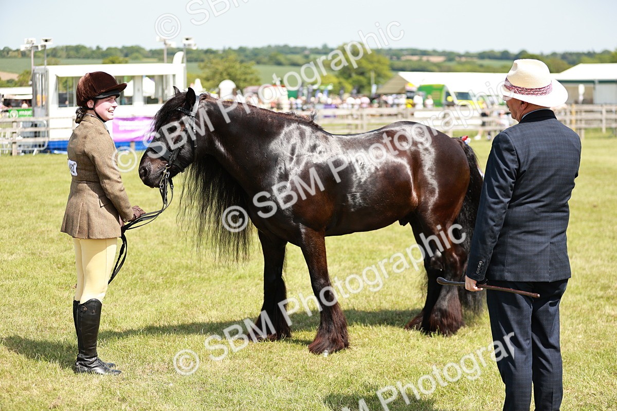 SBM_07161 - Class 26-30 - Mountain and Moorland Ridden