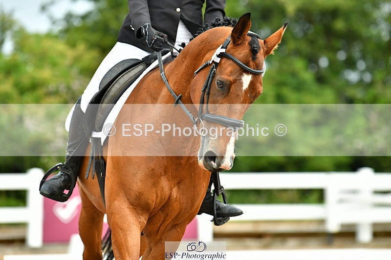 230708A-094951-02232 - Prelim 13