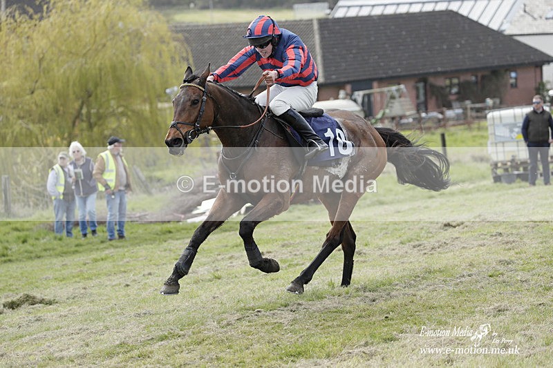 PtP 080423 300 - Dingley Races The Woodland Pytchley Hunt PtP 08/04/23