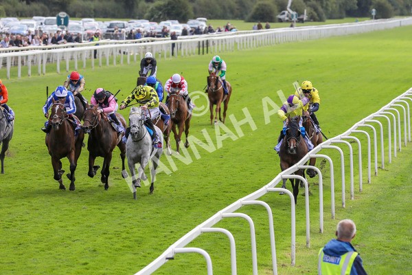 230824-Race 1-Shadow Dance-8296 - Race 1 1.50pm Sky Bet Handicap