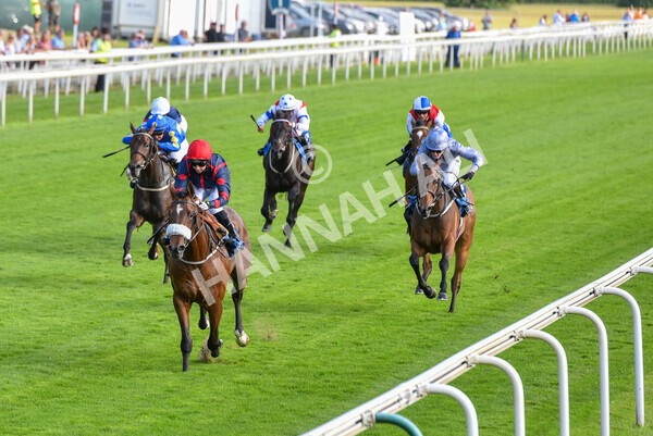 yr23072021r1-26 - Race 1 6.00pm John Wright Electrical Silk Series Lady Riders Handicap