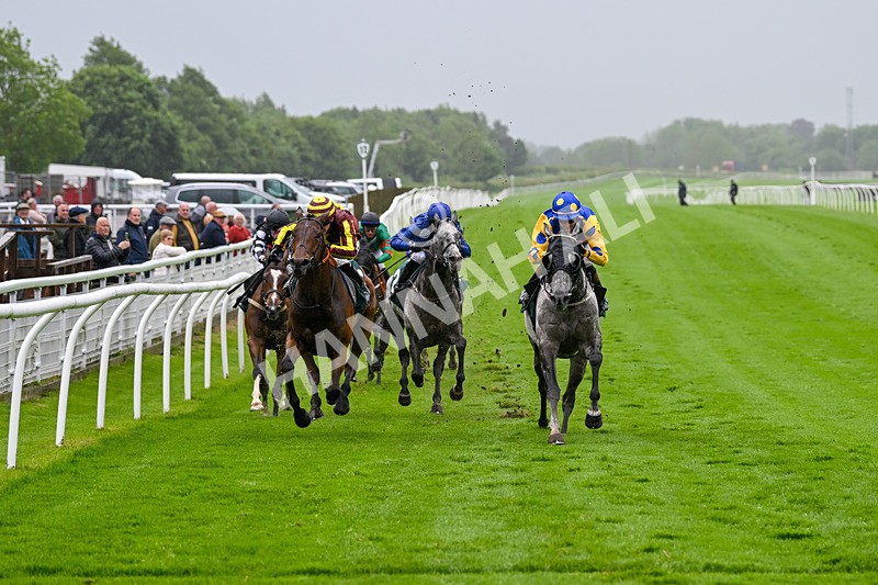 230524-Race 5-King Of Tonga-1823 - Race 5