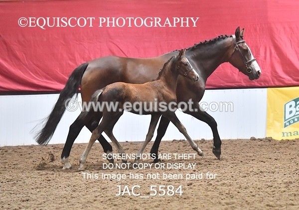 JAC_5584 - 13 Zi Real McCoy