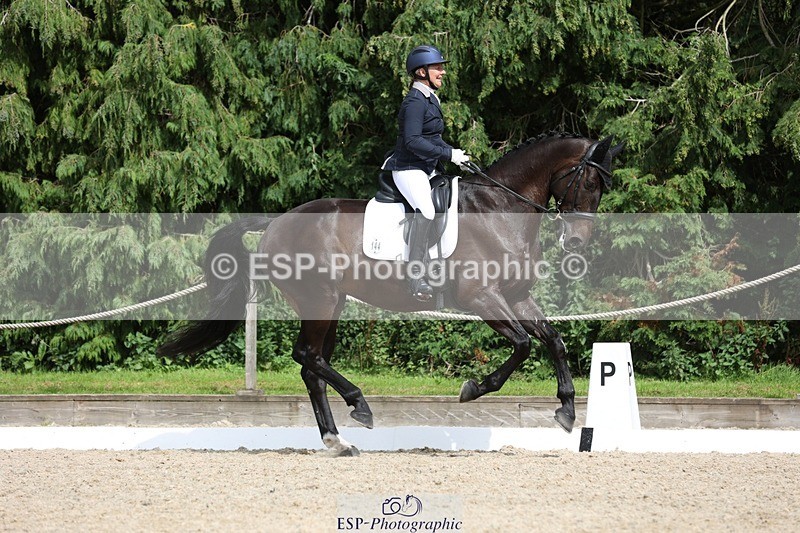 230812-152714-05138 - Cls 5 Novice Bronze 15.00 to End