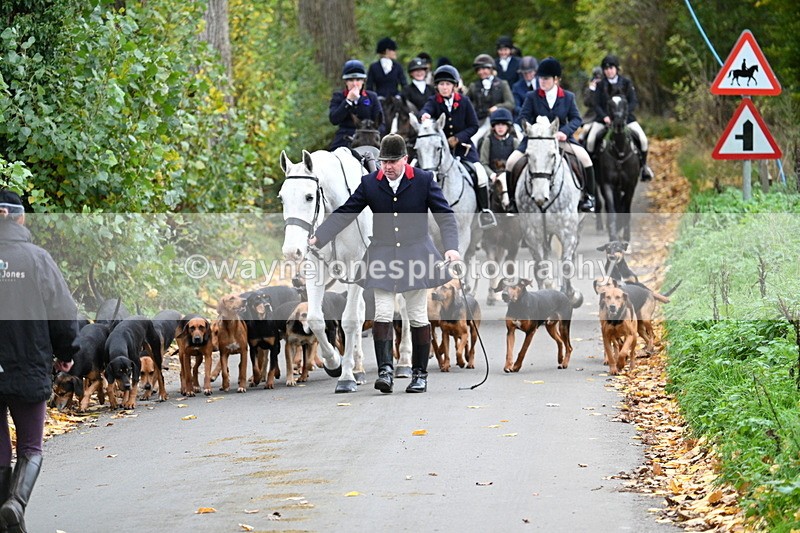 WJ7_7165 - Walk Home..