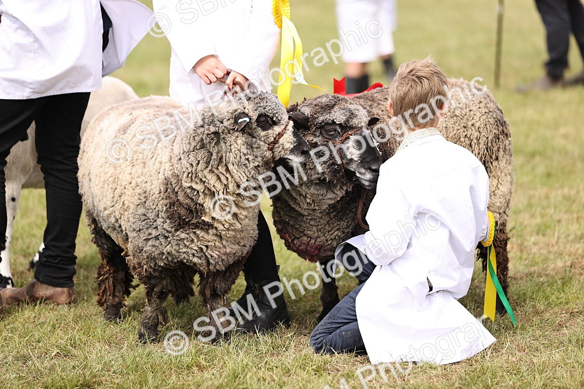 SBM_16918 - Grand Parade