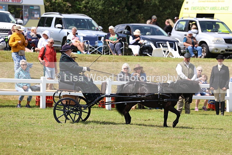 3E7A2671 - Class 12: Open Driving