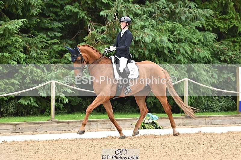 240811-113345-05202 - 208-Tom.Carter-Rubin.Regal