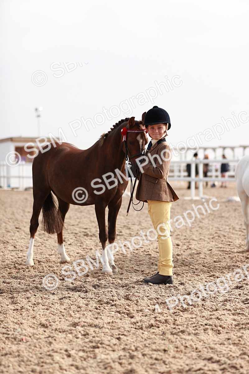 SBM_09915 - Class 203 Young Handler, 10 years and under