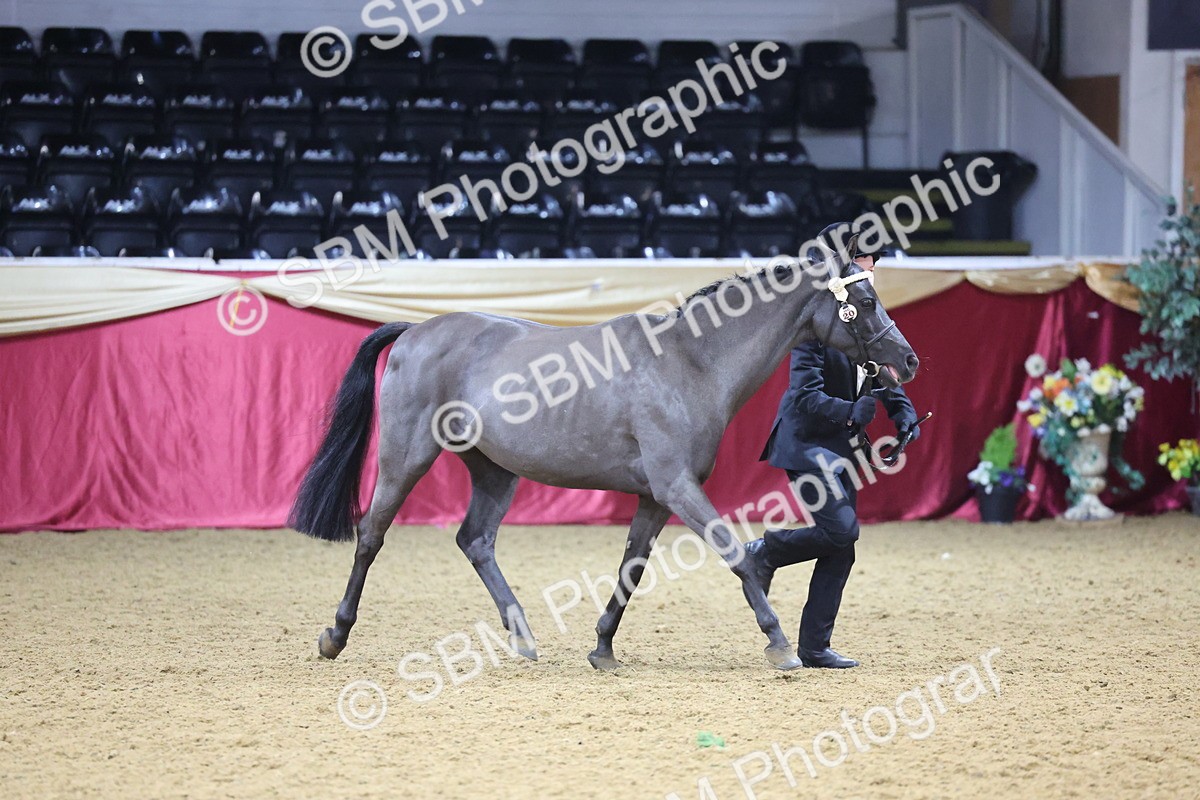 SBM_20820 - Class 902 - Supreme Final IH Veteran