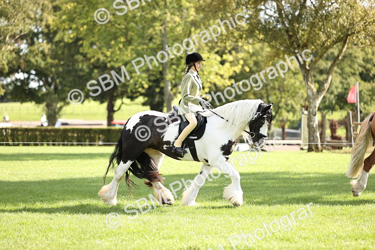 SBM_26358 - S6 - Novice & Newcomers Ridden Horse