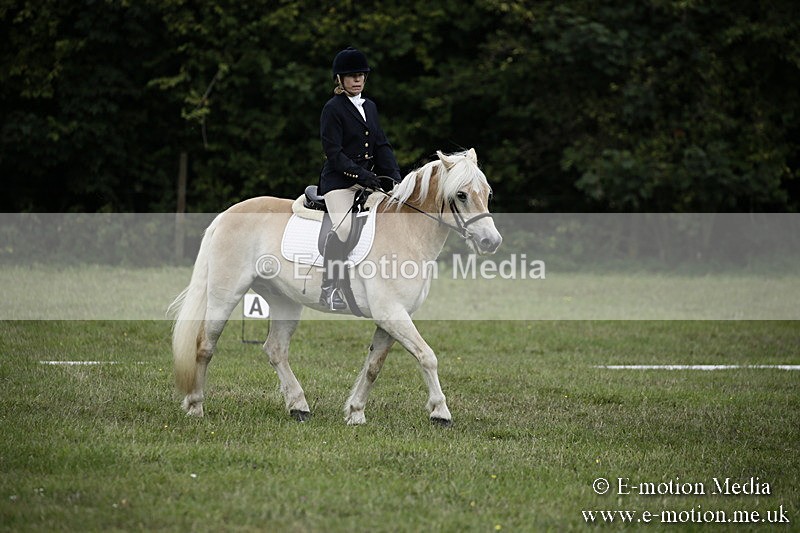 BVR090918 73 - BVRC Dressage and Show Jumping 09/09/18