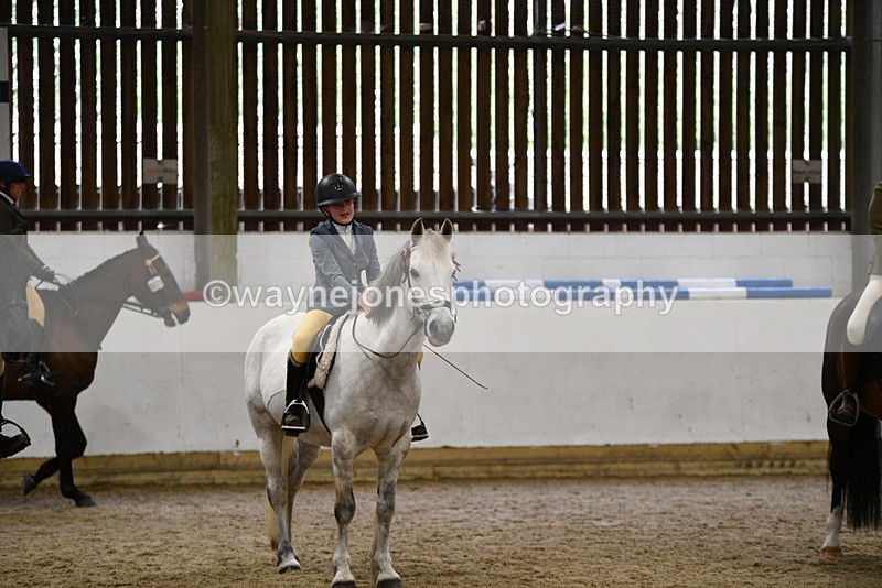 WJ5_8038 - Class 13 Ridden Part Breed