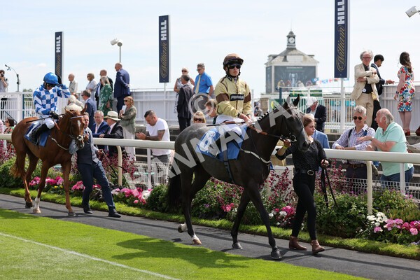 yr08072022r3-3 - Race 3 3.15pm William Hill Play Responsibly Irish EBF Novice Fillies Stakes