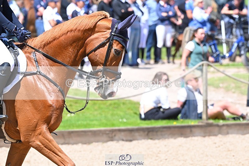 240525-123528-14961 - 405-JERSEY_MBF_N.O.P.-Sanne_de_Jong