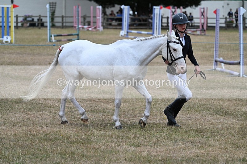 WJ7_8321 - Class 4 Prettiest Mare up to 14.2hh