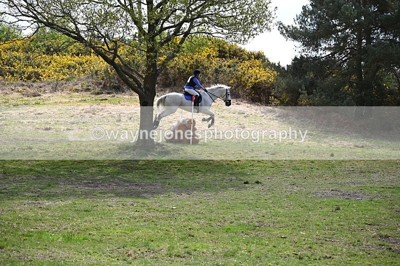 WJ6_9804 - Time 12:04 to 12:24